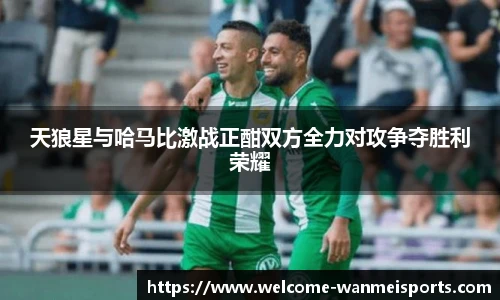 天狼星与哈马比激战正酣双方全力对攻争夺胜利荣耀